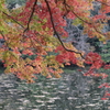 震生湖の紅葉