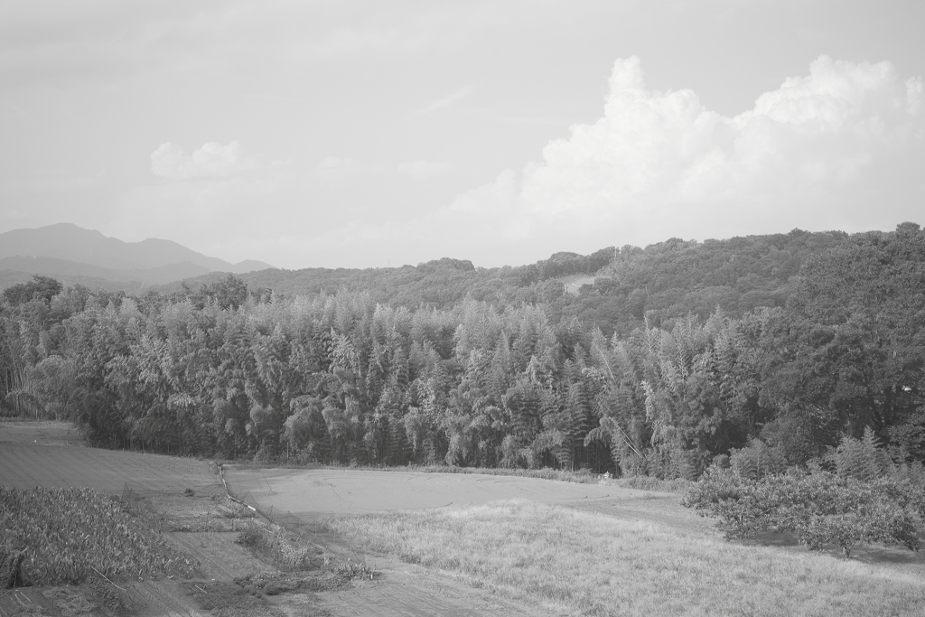 山々と畑と（赤フィルター）