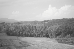 山々と畑と（赤フィルター）