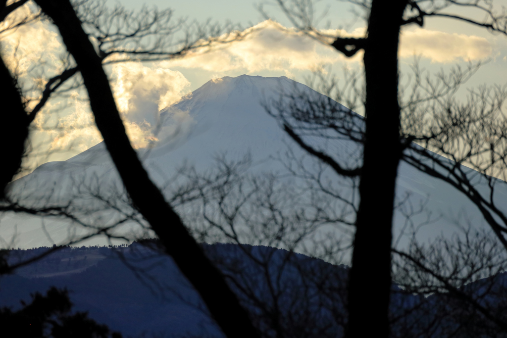 隙間から富士山