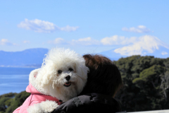 江ノ島観光　愛犬と富士山