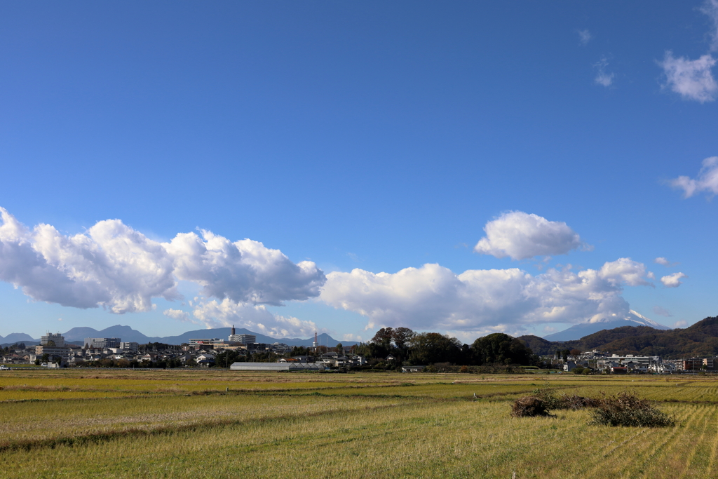 初冬の空　遠く富士山