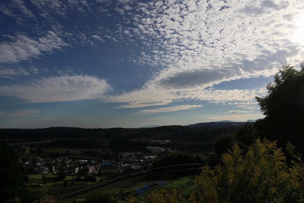 鰯雲