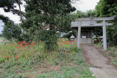 また来る浮島神社