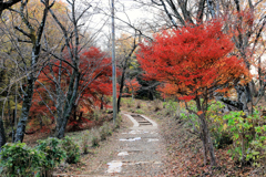 弘法山への登り口