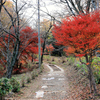 弘法山への登り口