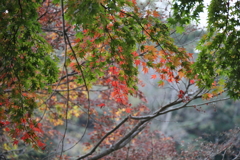 震生湖の紅葉