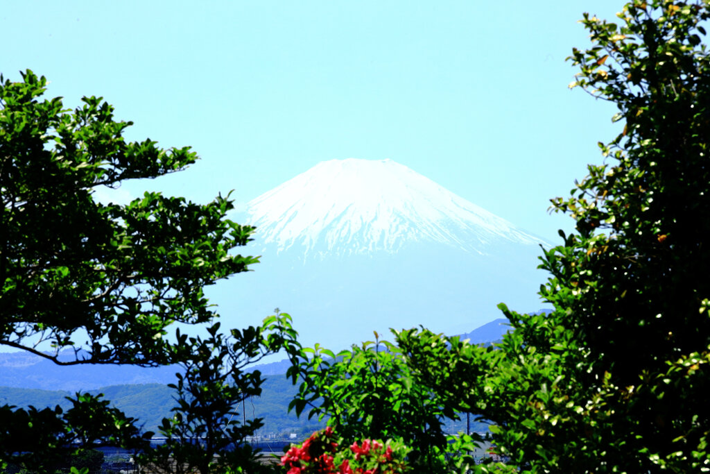 木々の合間から富士山 by ふらわ （ID：13490527） - 写真共有サイト:PHOTOHITO