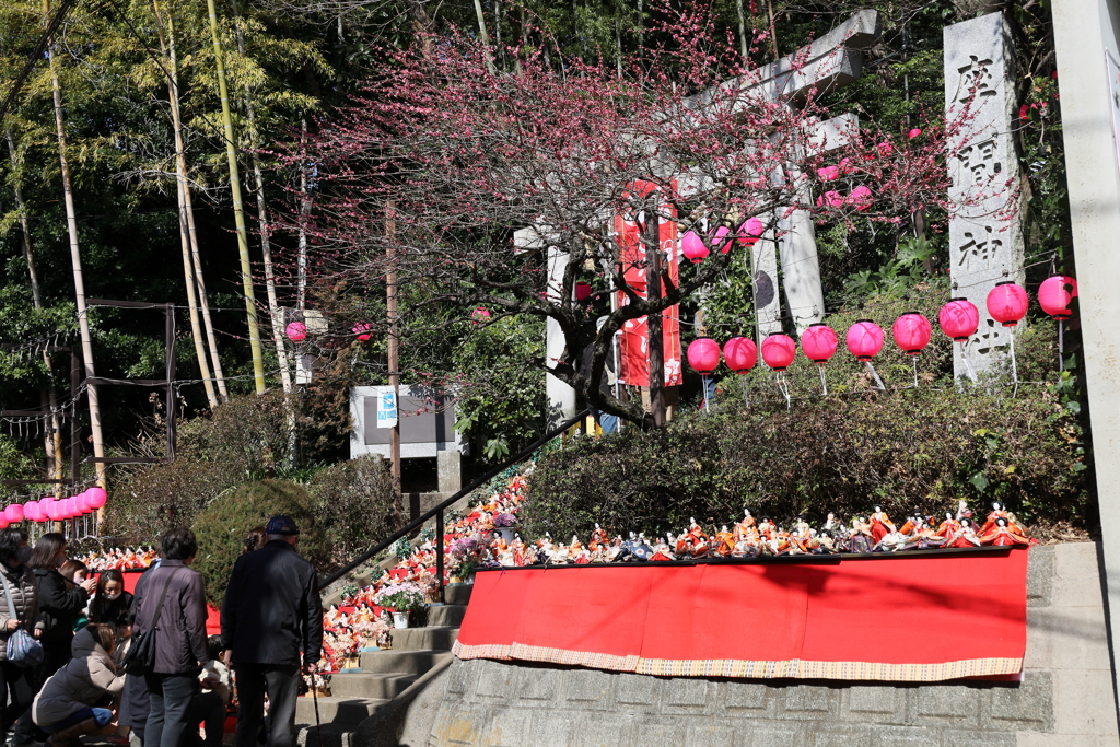 座間神社の雛祭り