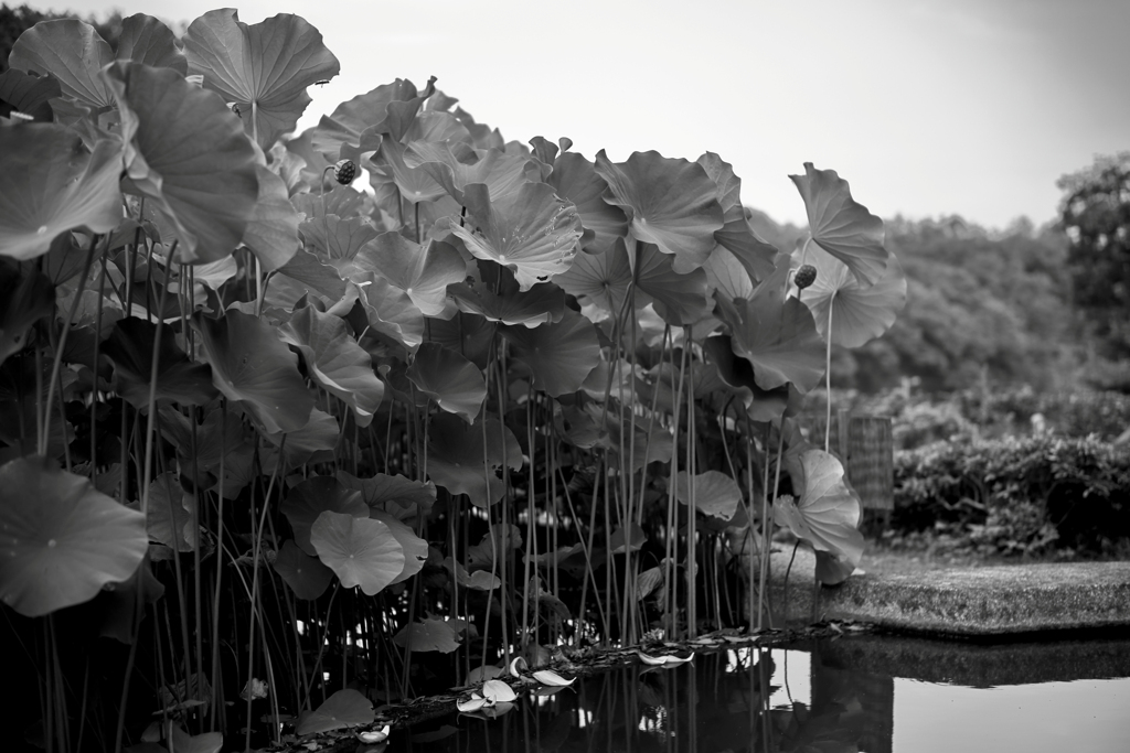 それぞれの向き