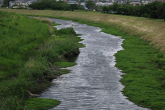 寒々しい小出川