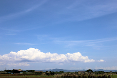 六月の三浦庚申塔あたり