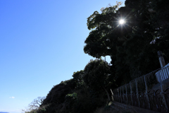 江ノ島観光　江ノ島の東側