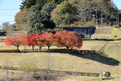 秋の宮ヶ瀬湖