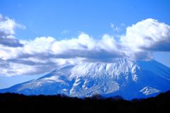 いないないばー