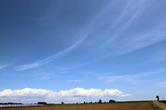 六月の三浦庚申塔あたり