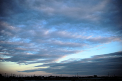 晴れてきた西日