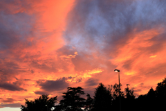 橙色の西空