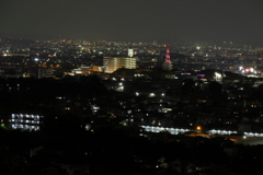 弘法山からの夜景　平塚に向けて