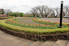 秦野戸川公園