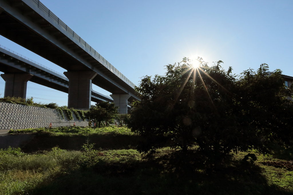 光芒と高速道路