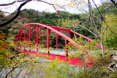 やどりき水源林に掛かる赤い橋