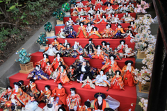 座間神社の春よこい　ひなまつり。