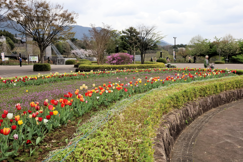 秦野戸川公園