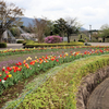 秦野戸川公園