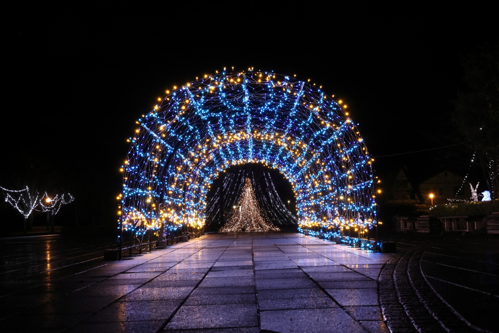 戸川公園のイルミネーション　トンネルの先