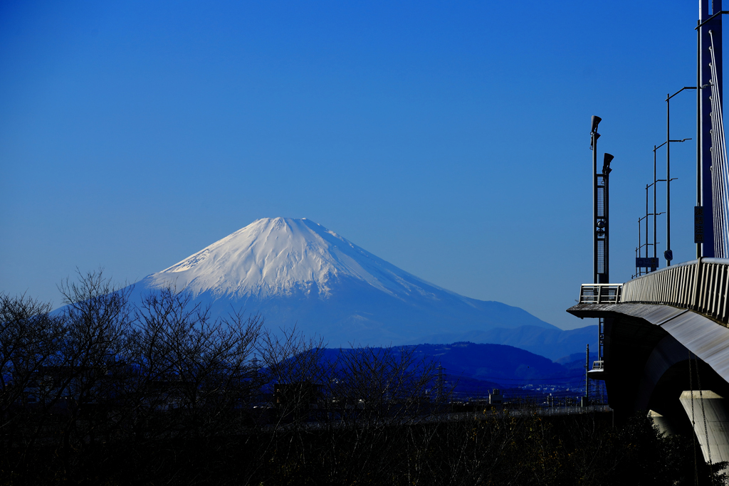 陸橋と富士山