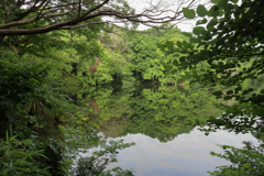 震生湖の鏡面