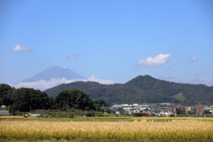 初冠雪前の富士山