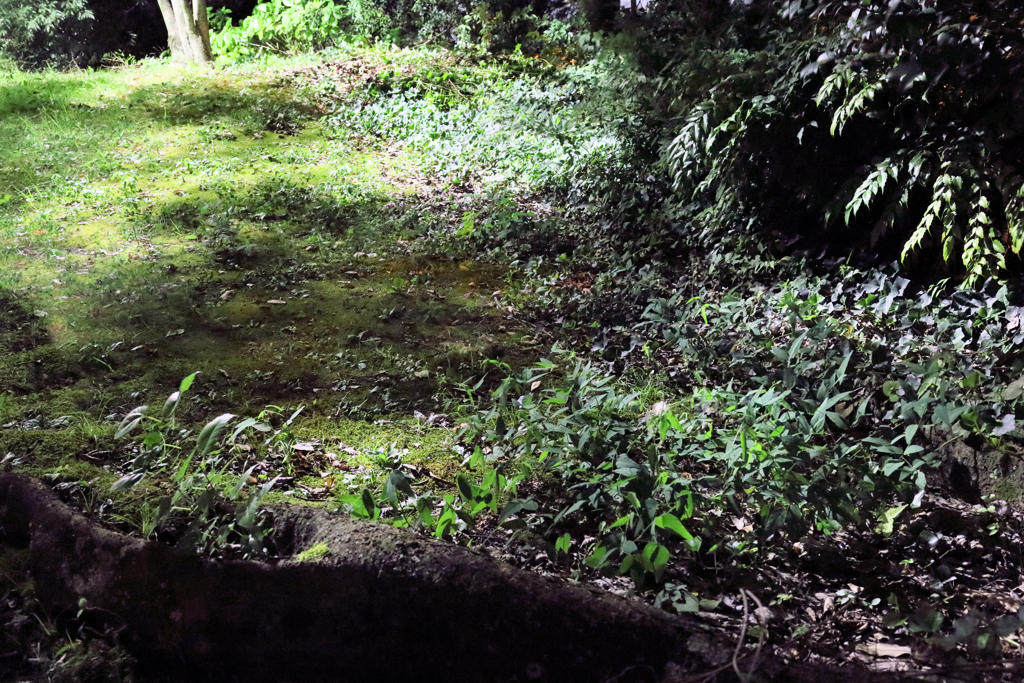 真っ暗な道ばた　右