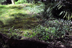 真っ暗な道ばた　右