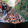座間神社の春よこい　ひなまつり。
