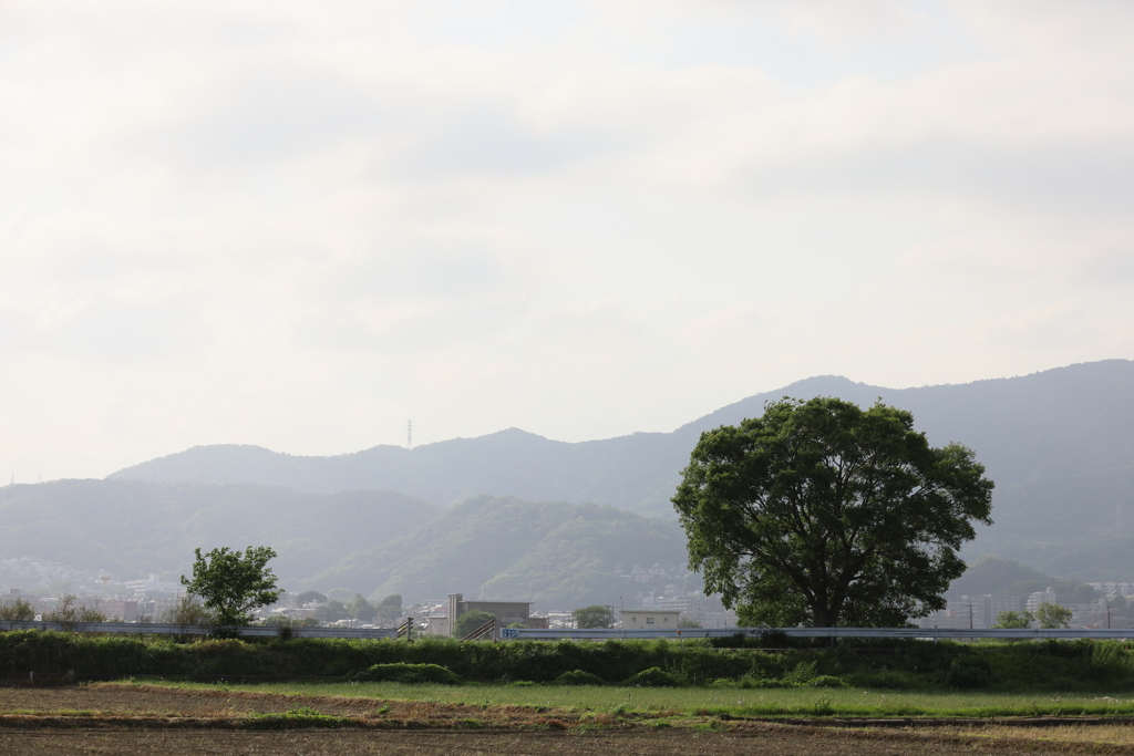 農道の風景