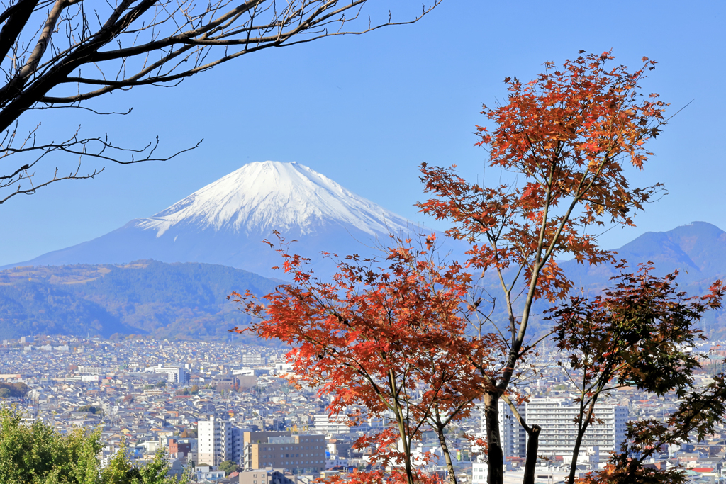 富士山と紅葉