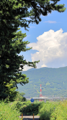 鉄塔と雲と杉の木と