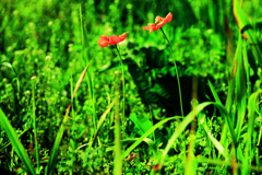 こっそりとふたりで