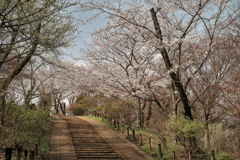 権現山の坂を下る