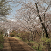 権現山の坂を下る
