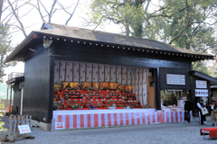 座間神社の春よこい　ひなまつり。