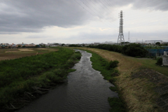 寒々しい小出川