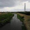 寒々しい小出川