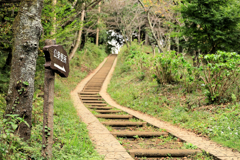 弘法山　階段を見上げる