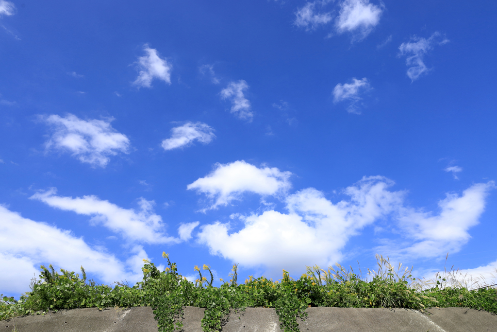 白い雲が産まれる