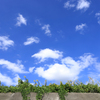 白い雲が産まれる