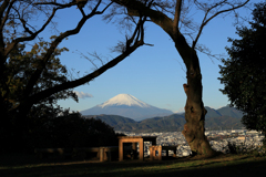 晩秋の弘法山　朝の富士山