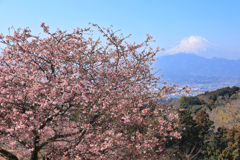 おおいゆめの里にて、大井里山花まつり